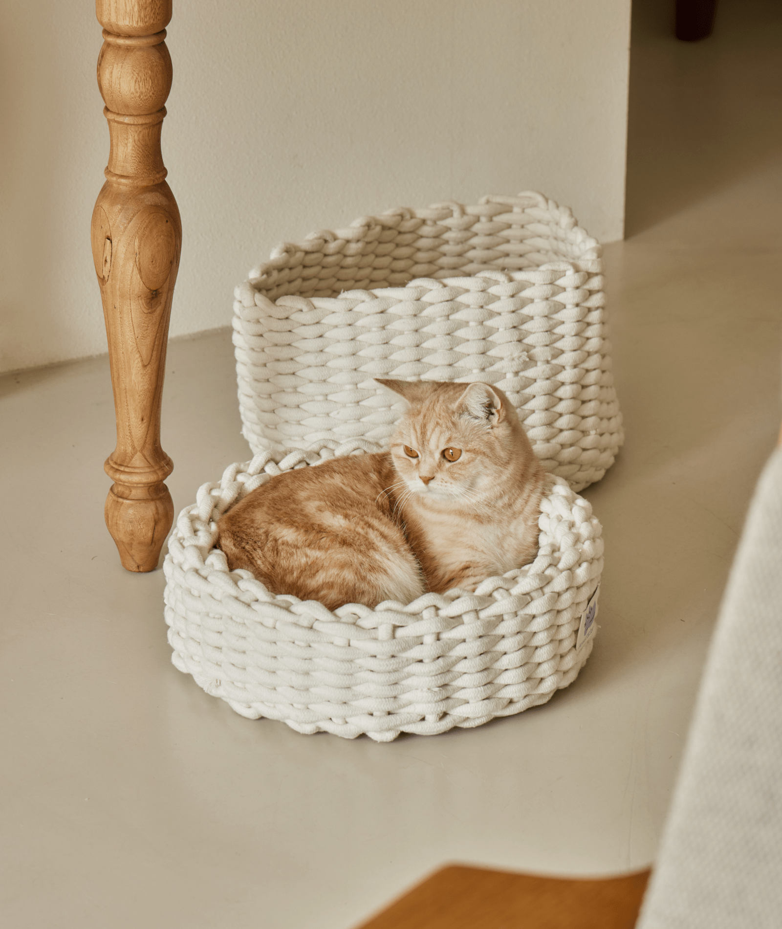 Cat knit basket